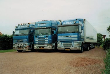 Drie vrachtwagens van Deij Transport naast elkaar
