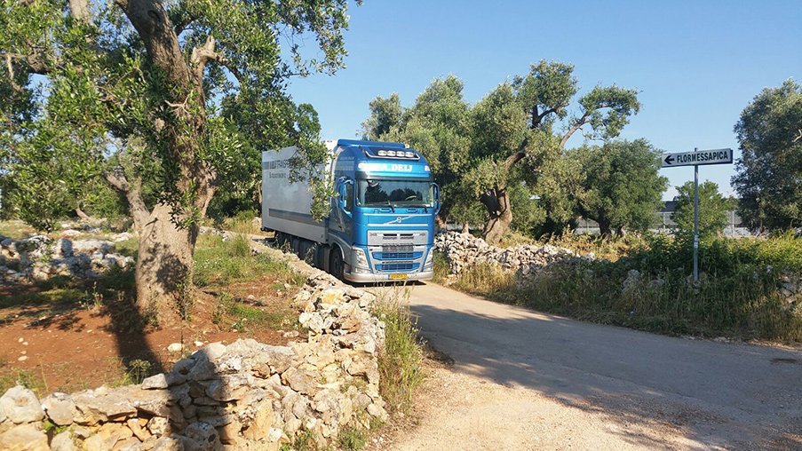 Combinatie van Deij Transport tussen olijfbomen in Zuid-Italië